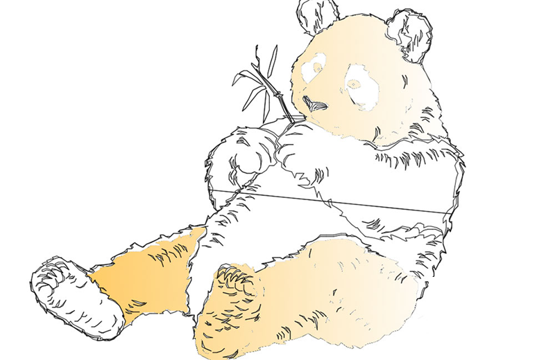 دانلود فایل اتوکد بلوک پاندا Autocad DWG