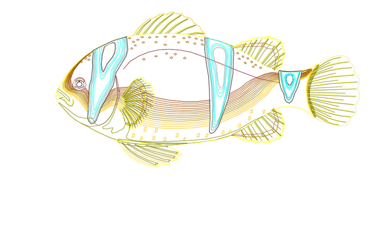 دانلود فایل اتوکد نقشه ماهی Autocad DWG