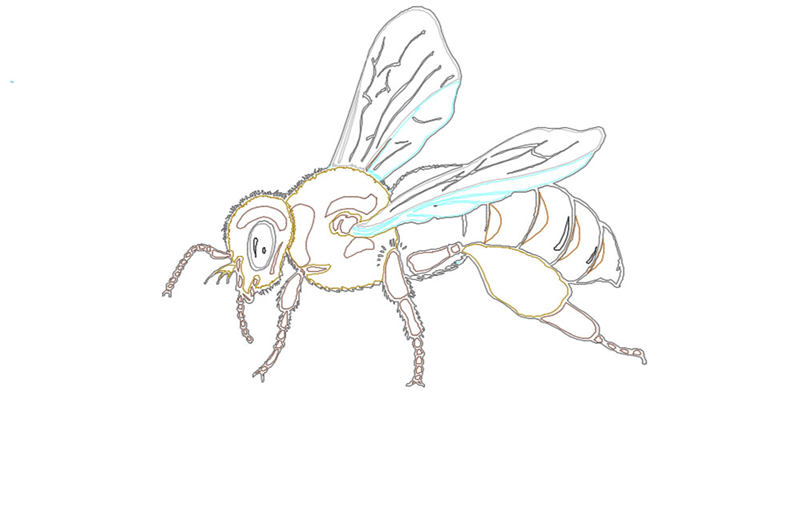 دانلود فایل اتوکد نقشه زنبور Bees DWG