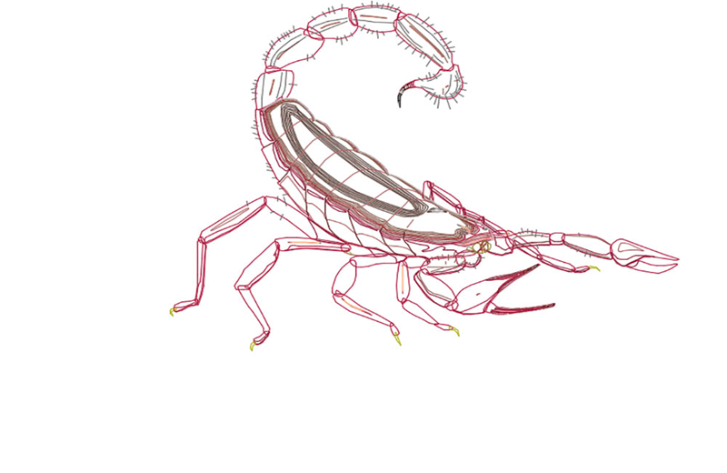 دانلود فایل اتوکد نقشه عقرب Scorpion DWG