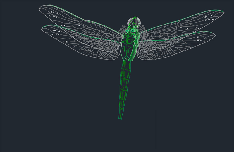 دانلود فایل اتوکد مدل سنجاقک Dragonfly Cad DWG