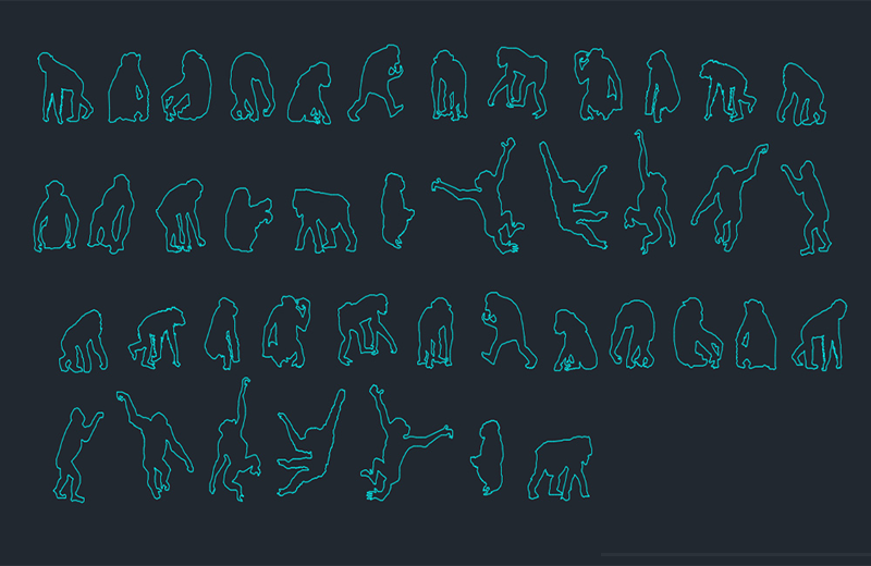 دانلود فایل معماری بلوک‌های شامپانزه با پسوند DWG در اتوکد