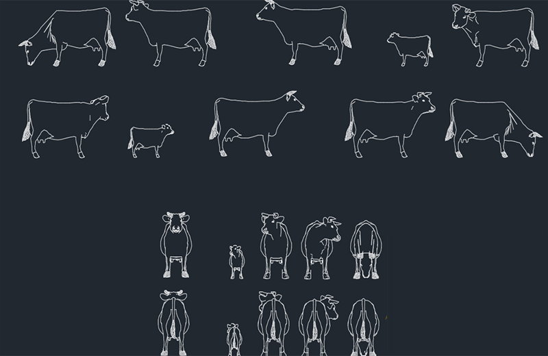 دانلود فایل معماری بلوک‌های گاو با پسوند DWG در اتوکد