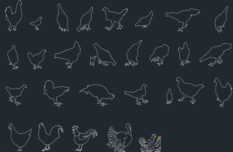 دانلود فایل معماری بلوک‌های پرندگان با پسوند DWG در اتوکد